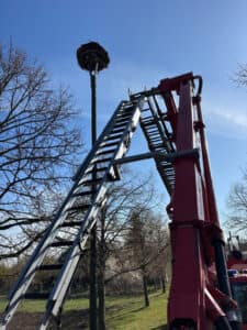 WhatsApp Image 2026-04-03 at 11.30.27(3)