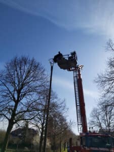 WhatsApp Image 2026-04-03 at 11.30.21(6)