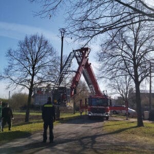 WhatsApp Image 2026-04-03 at 11.30.20(1)