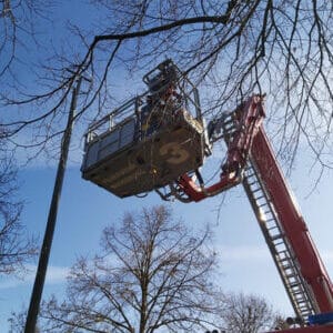 WhatsApp Image 2026-04-03 at 11.30.19